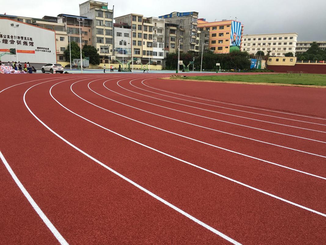 大理白族自治州硅PU塑胶跑道材料 - 价格